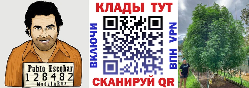 Наркошоп купить Галлюциногенные грибы  Cocaine  Меф мяу мяу  Бошки Шишки  Чухлома