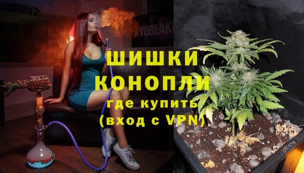 соль ск Липки
