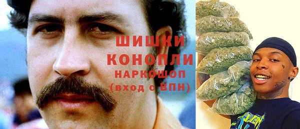 соль ск Липки