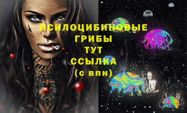 СК Лиски