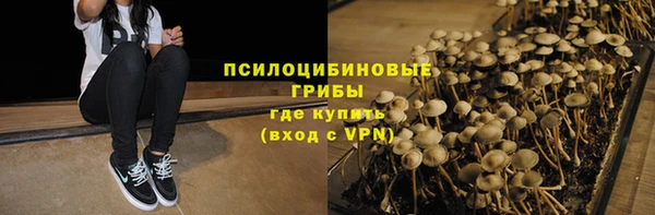 соль ск Липки